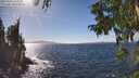 ./images/koeye/fitz-hugh/20250924/fitz-hugh20250924_150002M.jpg
