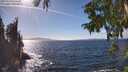 ./images/koeye/fitz-hugh/20250924/fitz-hugh20250924_150501M.jpg