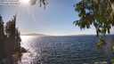 ./images/koeye/fitz-hugh/20250924/fitz-hugh20250924_151501M.jpg