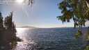 ./images/koeye/fitz-hugh/20250924/fitz-hugh20250924_152001M.jpg