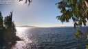 ./images/koeye/fitz-hugh/20250924/fitz-hugh20250924_152501M.jpg