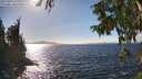 ./images/koeye/fitz-hugh/20250924/fitz-hugh20250924_153001M.jpg