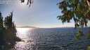 ./images/koeye/fitz-hugh/20250924/fitz-hugh20250924_153501M.jpg