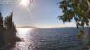./images/koeye/fitz-hugh/20250924/fitz-hugh20250924_154001M.jpg