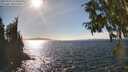 ./images/koeye/fitz-hugh/20250924/fitz-hugh20250924_154501M.jpg