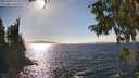 ./images/koeye/fitz-hugh/20250924/fitz-hugh20250924_155001M.jpg