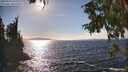 ./images/koeye/fitz-hugh/20250924/fitz-hugh20250924_160001M.jpg