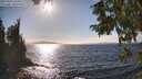 ./images/koeye/fitz-hugh/20250924/fitz-hugh20250924_161001M.jpg