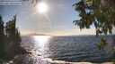 ./images/koeye/fitz-hugh/20250924/fitz-hugh20250924_162501M.jpg