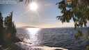 ./images/koeye/fitz-hugh/20250924/fitz-hugh20250924_163001M.jpg