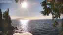 ./images/koeye/fitz-hugh/20250924/fitz-hugh20250924_163501M.jpg