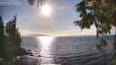 ./images/koeye/fitz-hugh/20250924/fitz-hugh20250924_164002M.jpg
