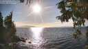 ./images/koeye/fitz-hugh/20250924/fitz-hugh20250924_165001M.jpg