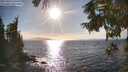 ./images/koeye/fitz-hugh/20250924/fitz-hugh20250924_165501M.jpg