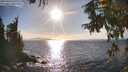 ./images/koeye/fitz-hugh/20250924/fitz-hugh20250924_170001M.jpg