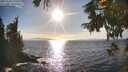 ./images/koeye/fitz-hugh/20250924/fitz-hugh20250924_170501M.jpg