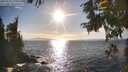 ./images/koeye/fitz-hugh/20250924/fitz-hugh20250924_171001M.jpg