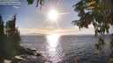 ./images/koeye/fitz-hugh/20250924/fitz-hugh20250924_171501M.jpg