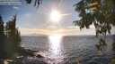./images/koeye/fitz-hugh/20250924/fitz-hugh20250924_172001M.jpg
