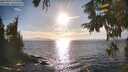 ./images/koeye/fitz-hugh/20250924/fitz-hugh20250924_172502M.jpg