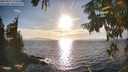 ./images/koeye/fitz-hugh/20250924/fitz-hugh20250924_173501M.jpg