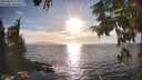 ./images/koeye/fitz-hugh/20250924/fitz-hugh20250924_174001M.jpg