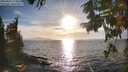 ./images/koeye/fitz-hugh/20250924/fitz-hugh20250924_174501M.jpg