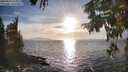 ./images/koeye/fitz-hugh/20250924/fitz-hugh20250924_175001M.jpg