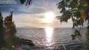 ./images/koeye/fitz-hugh/20250924/fitz-hugh20250924_175501M.jpg