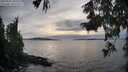 ./images/koeye/fitz-hugh/20250924/fitz-hugh20250924_182501M.jpg