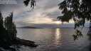 ./images/koeye/fitz-hugh/20250924/fitz-hugh20250924_183501M.jpg