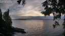 ./images/koeye/fitz-hugh/20250924/fitz-hugh20250924_184001M.jpg