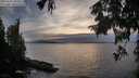 ./images/koeye/fitz-hugh/20250924/fitz-hugh20250924_184501M.jpg