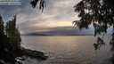 ./images/koeye/fitz-hugh/20250924/fitz-hugh20250924_185001M.jpg