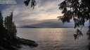 ./images/koeye/fitz-hugh/20250924/fitz-hugh20250924_185501M.jpg
