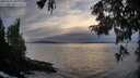 ./images/koeye/fitz-hugh/20250924/fitz-hugh20250924_190001M.jpg