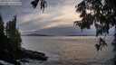 ./images/koeye/fitz-hugh/20250924/fitz-hugh20250924_190501M.jpg