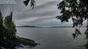 ./images/koeye/fitz-hugh/20250924/fitz-hugh20250924_193001M.jpg