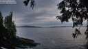 ./images/koeye/fitz-hugh/20250924/fitz-hugh20250924_194001M.jpg