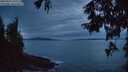 ./images/koeye/fitz-hugh/20250924/fitz-hugh20250924_195502M.jpg