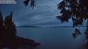 ./images/koeye/fitz-hugh/20250924/fitz-hugh20250924_200002M.jpg
