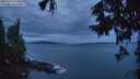 ./images/koeye/fitz-hugh/20250925/fitz-hugh20250925_070501M.jpg
