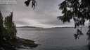 ./images/koeye/fitz-hugh/20250925/fitz-hugh20250925_092501M.jpg