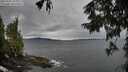 ./images/koeye/fitz-hugh/20250925/fitz-hugh20250925_102501M.jpg