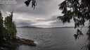 ./images/koeye/fitz-hugh/20250925/fitz-hugh20250925_110001M.jpg