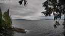 ./images/koeye/fitz-hugh/20250925/fitz-hugh20250925_111501M.jpg