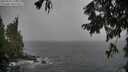 ./images/koeye/fitz-hugh/20250925/fitz-hugh20250925_131501M.jpg