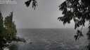./images/koeye/fitz-hugh/20250925/fitz-hugh20250925_134001M.jpg