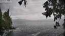 ./images/koeye/fitz-hugh/20250925/fitz-hugh20250925_141501M.jpg