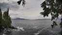 ./images/koeye/fitz-hugh/20250925/fitz-hugh20250925_142502M.jpg